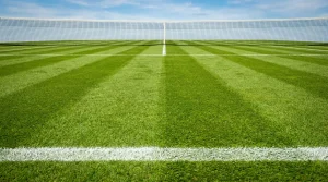 Apuestas en Partidos de Tenis sobre Hierba: Guía para Wimbledon y Más