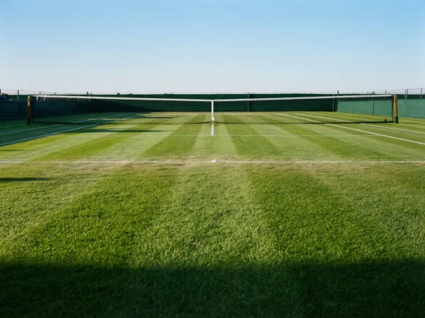 Pista de tenis de hierba natural con líneas blancas marcadas